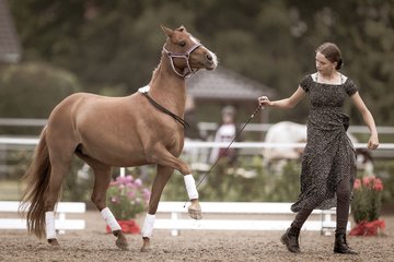 Bild 150 - Pony Akademie Turnier